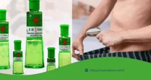Cara Memperbesar Alat Vital Pria dengan Minyak Kayu Putih