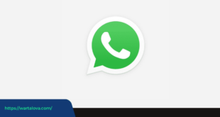 Cara Update WhatsApp Terbaru 2022 di Android dan iOS