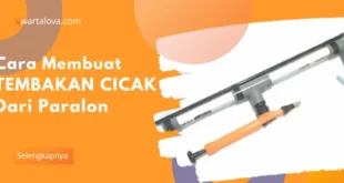 Cara Membuat Tembakan Cicak dan Tokek dari Paralon