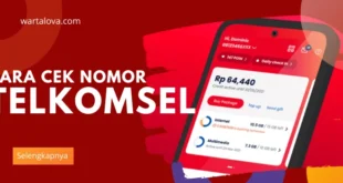 Cara Cek Nomor Telkomsel dengan Mudah dan Cepat