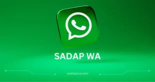 Cara Sadap WA Tanpa Verifikasi