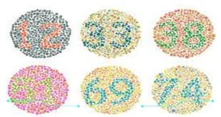 Kumpulan Cara Lolos Tes Buta Warna Ampuh Wajib Diketahui