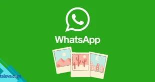 Berbagai Cara Menyimpan Foto dari WhatsApp