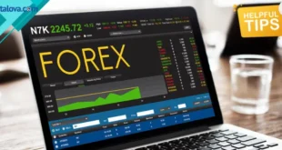 Broker Forex Terbaik