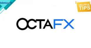 Review Broker Forex OctaFX