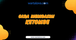 Cara Membasmi Ketombe