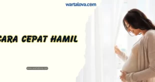 Cara Cepat Hamil