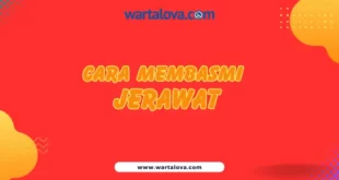 Cara Membasmi Jerawat
