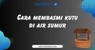 Cara Membasmi Kutu Air di Sumur