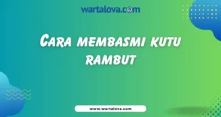 Cara membasmi kutu rambut