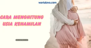 Cara menghitung usia kehamilan