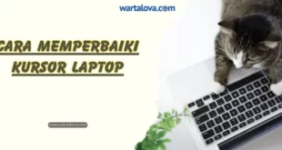 Cara Memperbaiki Kursor Laptop